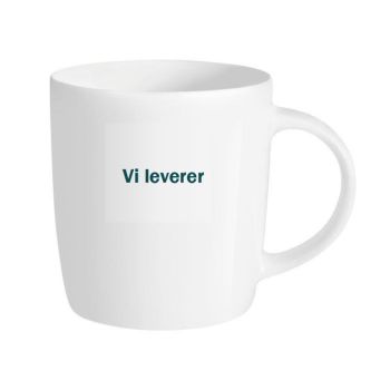 Porselenskrus norsk, 36stk